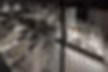 cafe-columna_06.jpg