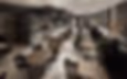 cafe-columna_07.jpg