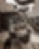 cafe-columna_16.jpg